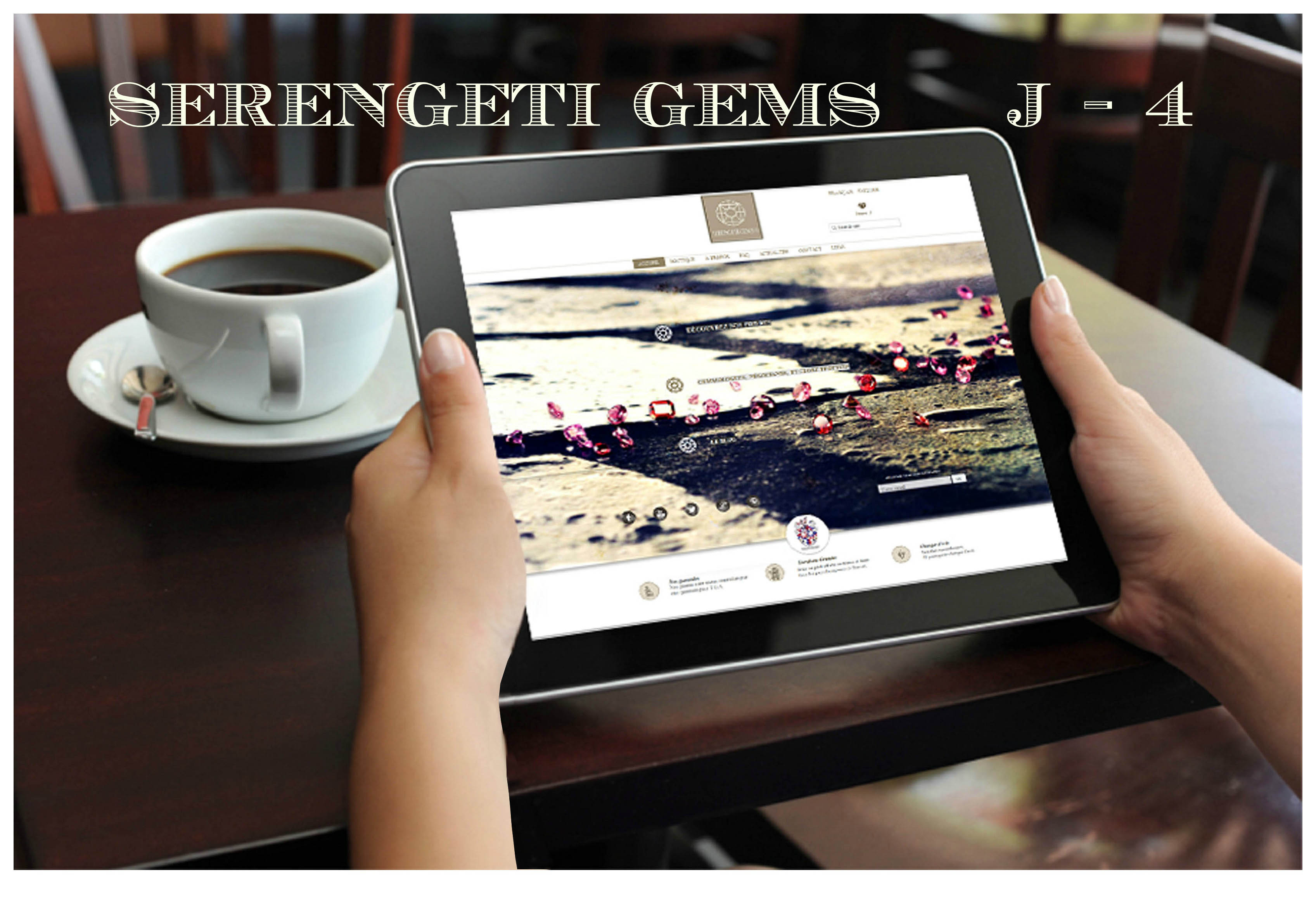 J - 4 avant le lancement de Serengetigems.com 